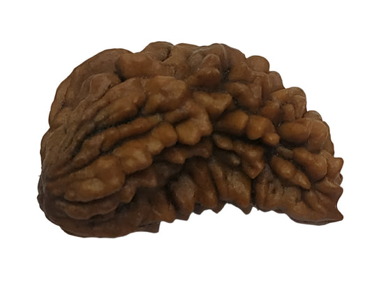 Authentic 1 Mukhi Rudraksha, known for spiritual awakening, inner peace, and heightened meditation.
#1MukhiRudraksha #RudrakshaBeads #SpiritualAwakening #MeditationAid #HealingBeads #EnergyHealing #InnerPeace #SacredBeads #DivineBlessings #RudrakshaHealing #MeditationJewelry












